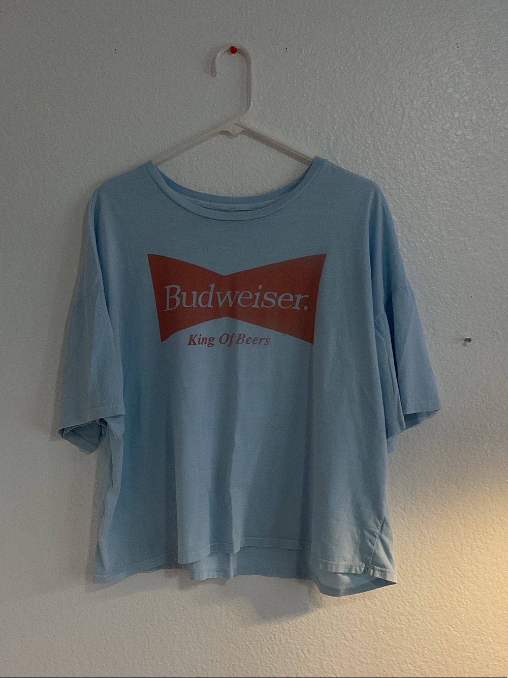 American Eagle Outfitters Light Blue Tee with Red Logo